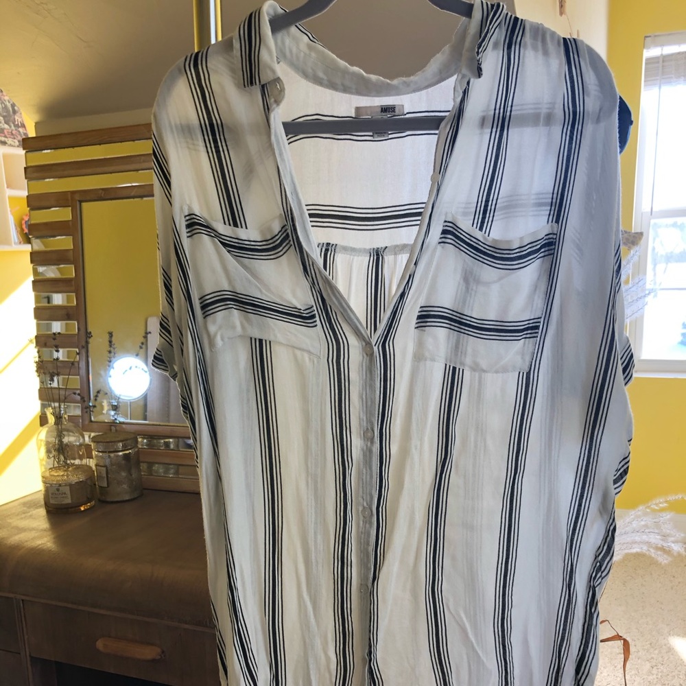 Amuse Society sheer shirt dress
